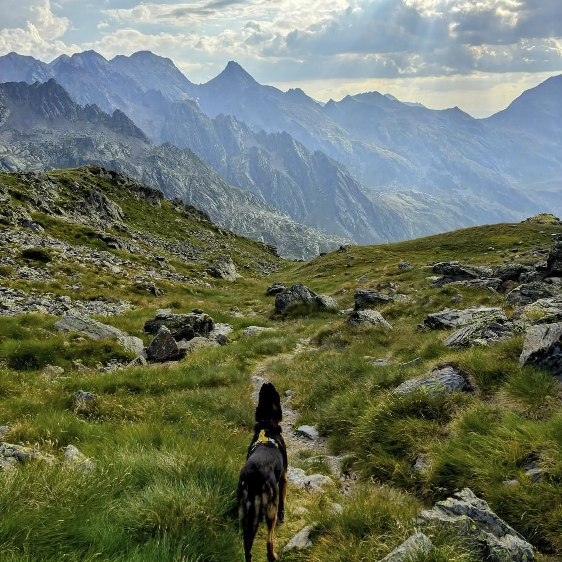 Autumn experiences in Andorra: mushroom walks, forest bathing and circles in nature