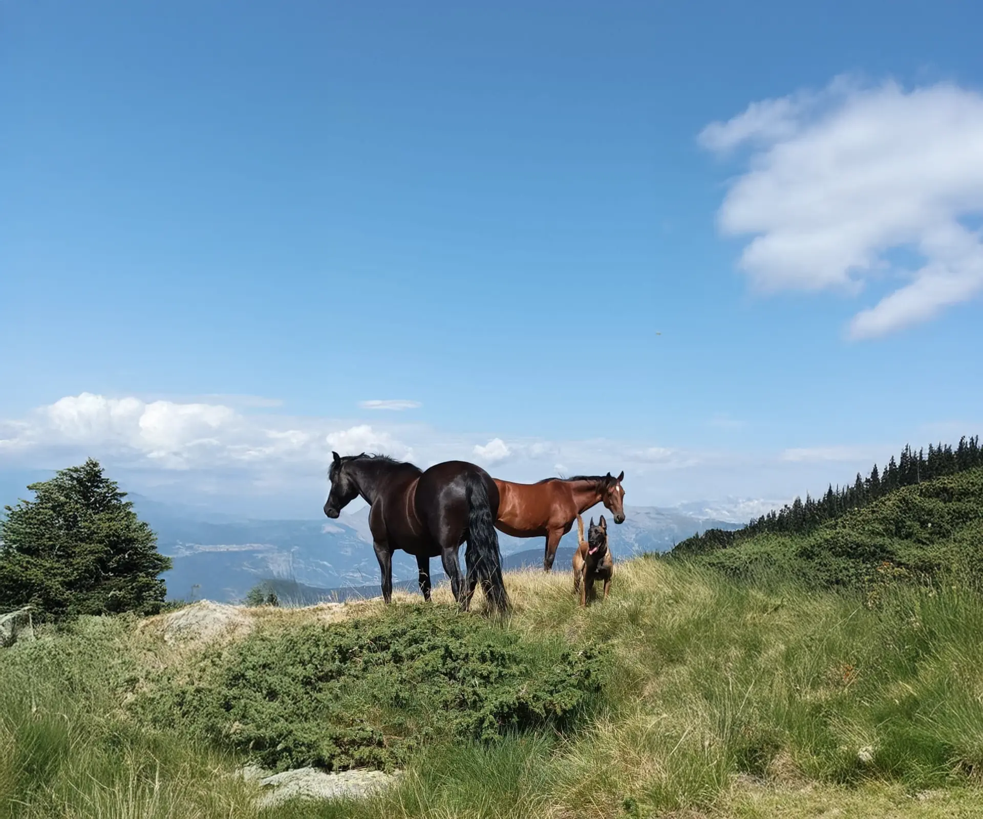 Other experiences: horses, yoga and tailor-made proposals in nature with Nima Inner Flow