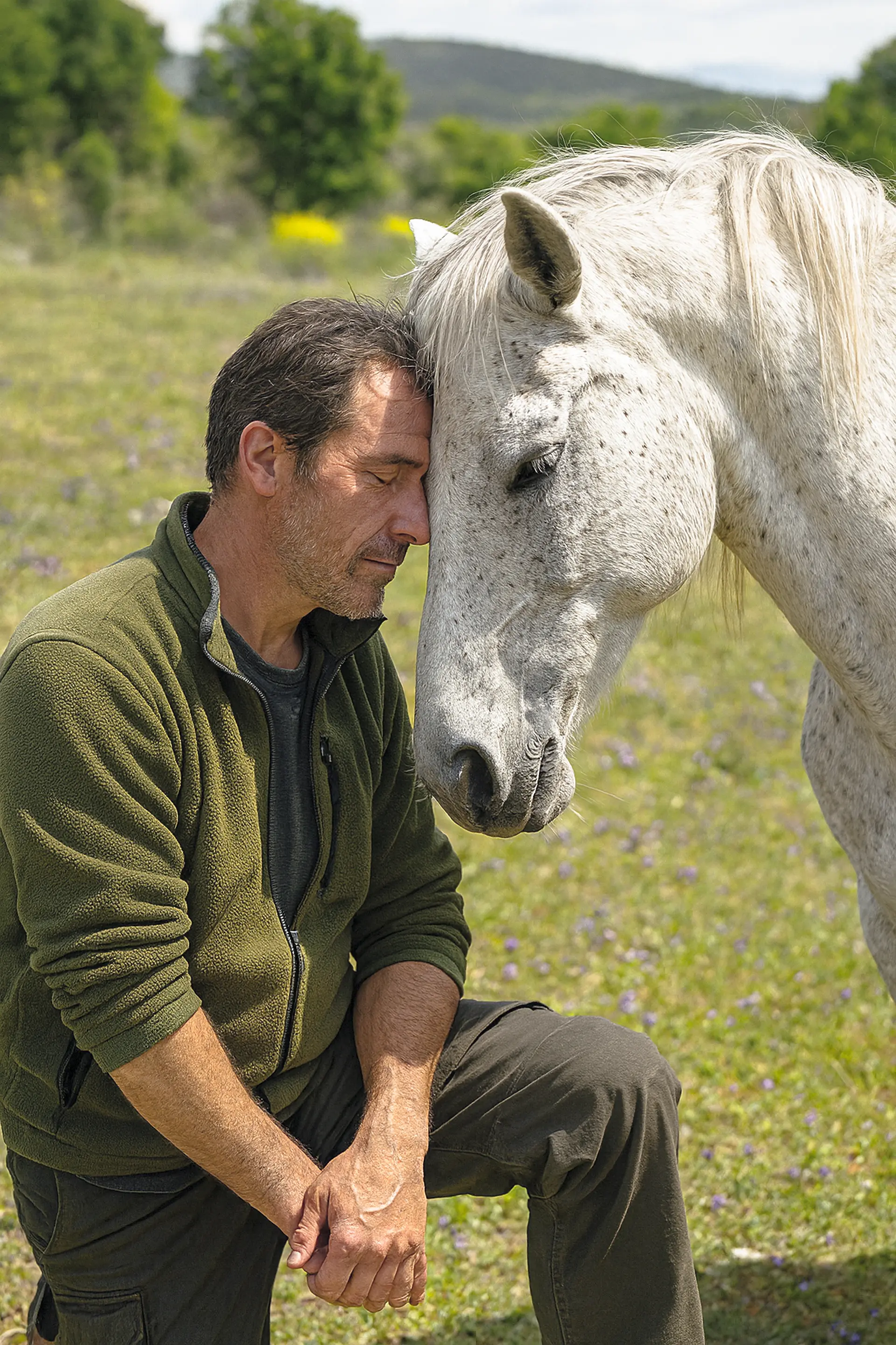Family constellations with horses in nature in Andorra